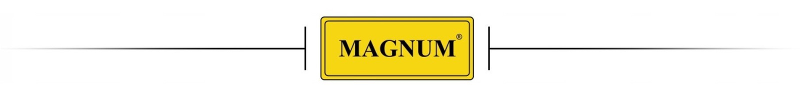 Baner z logo Magnum