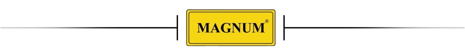Baner reklamowy spawarki Magnum MIG 208 ALU SYNERGIA 4x4